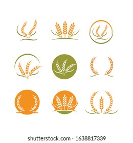 Agriculture wheat   vector icon illustration design template