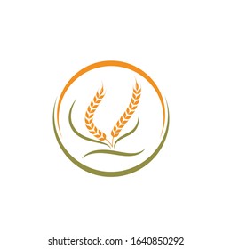 Agriculture wheat   vector icon illustration design template
