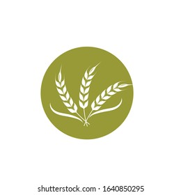 Agriculture wheat   vector icon illustration design template