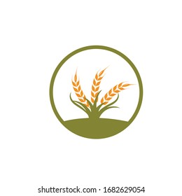 Agriculture wheat   vector icon illustration design template