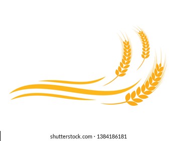 Agriculture wheat vector Illustration design template