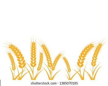 Agriculture wheat vector Illustration design template - Vector