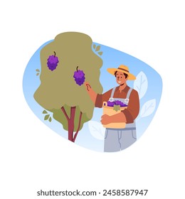 Agriculture and winemaking. Vector illustration of a smiling farmer harvesting grapes in a vineyard, with a basket full of grape bunches.