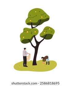 Agriculture workers gather fallen ripe fruit under tree. Farmers collect crop, work on farm together. People farming, pick up harvest in garden. Flat isolated vector illustration on white background