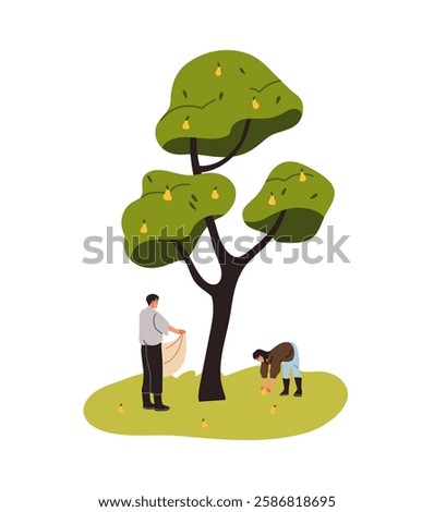 Similar – Image, Stock Photo Cropped farmer collecting ripe quinces in garden