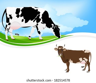 Agriculture.Breeding Dairy Cattle.Vector 