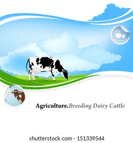 Agriculture.Breeding dairy Cattle.Vector background