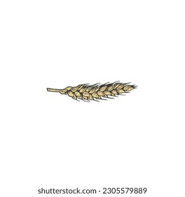 agriculture,wheat related icon isolated on background