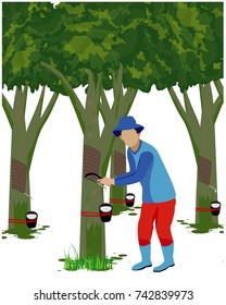 Agriculturist Cut Rubber Tree For Latex Vector Design