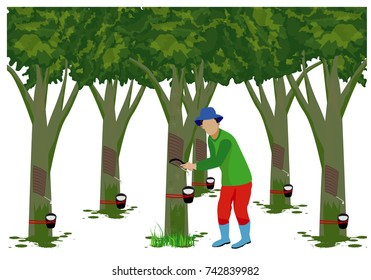 agriculturist cut rubber tree for latex vector design