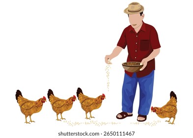 Um agrônomo está alimentando suas galinhas poedeiras.