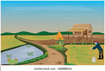 agriculturist Fertilizer Corn plant vector design