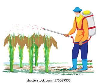 agriculturist fertilizer rice plant vector design