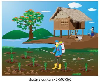 agriculturist fertilizer rice plant vector design