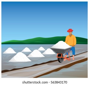 agriculturist harvest salt vector design