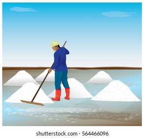 agriculturist harvest salt vector design