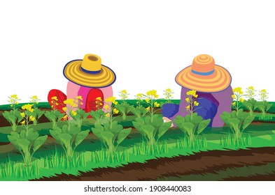 agriculturist harvest vegetables from garden vector design