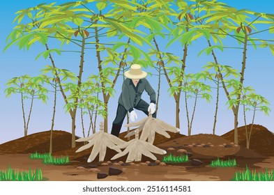 agriculturist is harvesting cassava.vector design