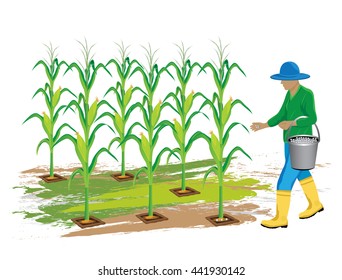 agriculturist manure corn plant vector design