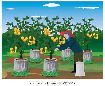 agriculturist manure lime plant vector design