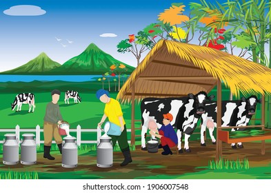 agriculturist Milk from cow at farm vector design