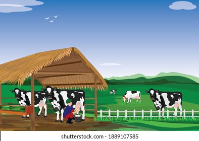 agriculturist Milk from at farm cow vector design