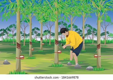 agriculturist Rubber tapping  in garden vector design