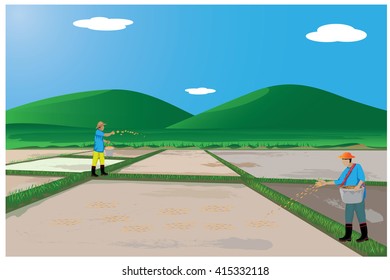 agriculturist sowing rice in paddy vector design