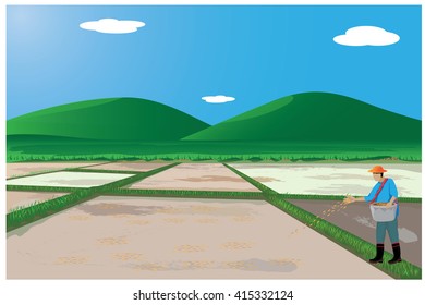 agriculturist sowing rice in paddy vector design