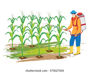 agriculturist spray corn plant vector design