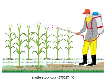 agriculturist spray corn plant vector design