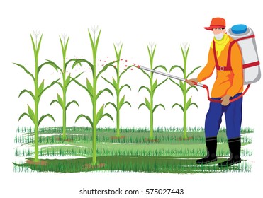 agriculturist spray corn plant vector design