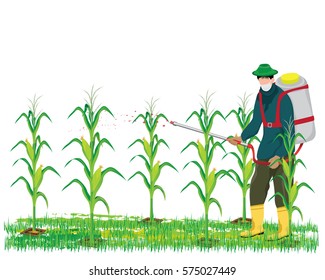 agriculturist spray corn plant vector design