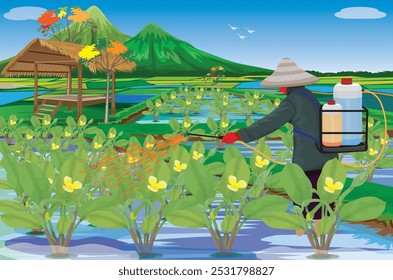 agriculturist spray fertilizer into limnocharis flava Plant in paddy field vector design