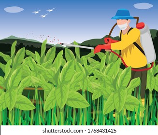 Agriculturist Spray Manure Into Tobacco Plant Vector Design