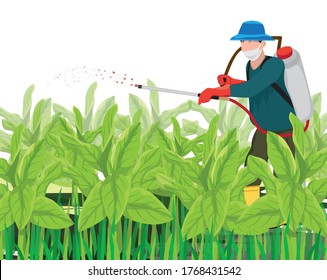 Agriculturist Spray Manure Into Tobacco Plant Vector Design