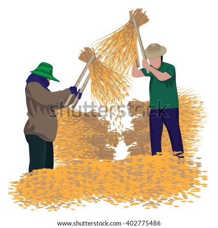 agriculturist thresh rice vector design