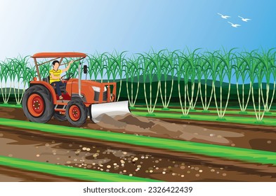 agriculturist use tractor plow in sugar cane field, vector design