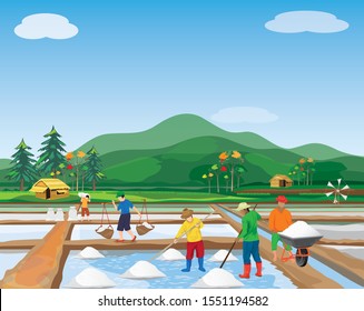 agriculturist work in saline field vector design