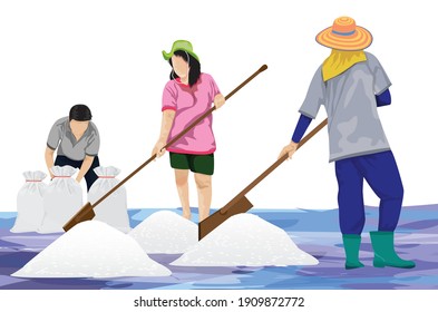agriculturist work with salt vector design