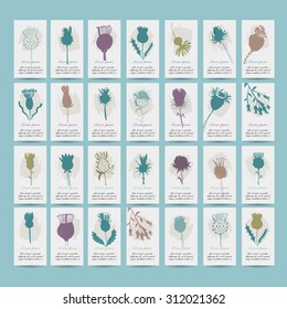 Agrimony plants collection on cards, sketch for your design. vector illustration