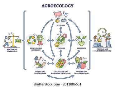 Agroecology as ecological agriculture and responsible farming outline diagram. Nature friendly and bio diversity protective gardening with recycling, resilience and green model vector illustration.