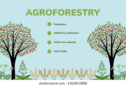 Agroforestry banner background vector illustration