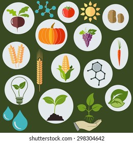 Agronomic and agricultural icons flat style, Science biology research chemical formulas, plants, sun and water drops - vectors