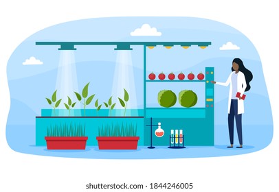 Agronomist web banner, website or landing page template. Female scientist making research in agriculture. Idea of farming and cultivation. Organic harvest selection. Flat cartoon vector illustration