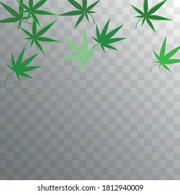 Diseño Agronómico. Patrón de hierba. Colección médica amarilla.  Vector Hashish Hemp. Antecedentes medicinales blancos.  Resumen del diseño de la agronomía. Silhouette de Agricultura Transparente. 
