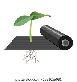 Agrotechnical coating material spunbond. Mulch plastic film is used to change soil temperature, limit weed growth and prevent moisture loss. Vector illustration isolated on white background