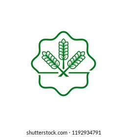 agryculture wheat logo template vector illustartion