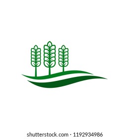 agryculture wheat logo template vector illustartion