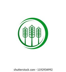 agryculture wheat logo template vector illustartion